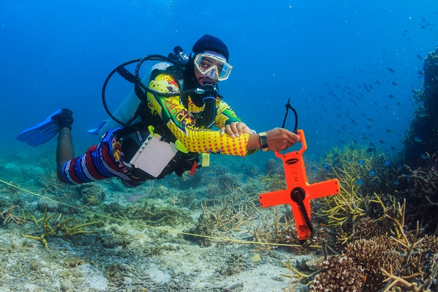 Discovery Channel Alvin is now a Programme Manager at Reef Check Malaysia.